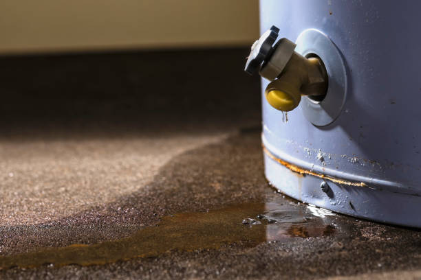 Best Water damage restoration experts  in Sigourney, IA