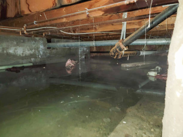 Best Ceiling water damage repair  in Sigourney, IA
