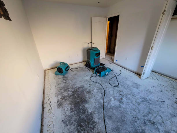 Best Flood restoration services  in Sigourney, IA