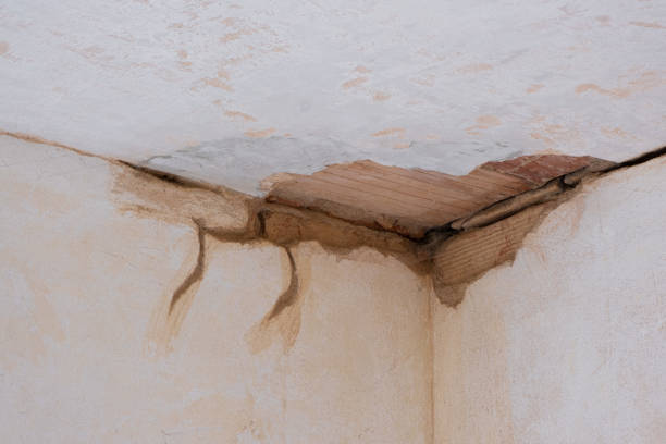 Best Water damage contractors near me  in Sigourney, IA