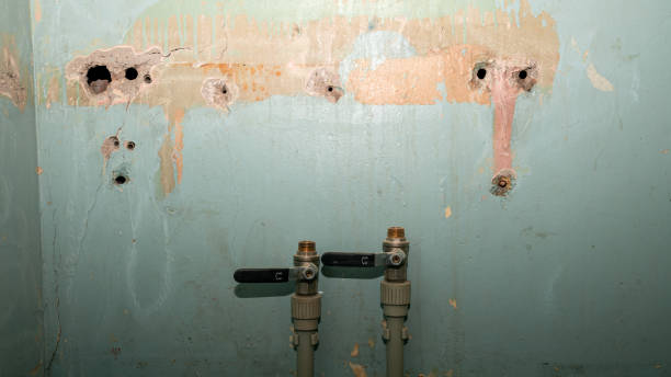 Best Flooded house restoration  in Sigourney, IA