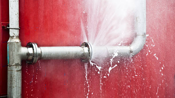Best Basement water damage restoration  in Sigourney, IA